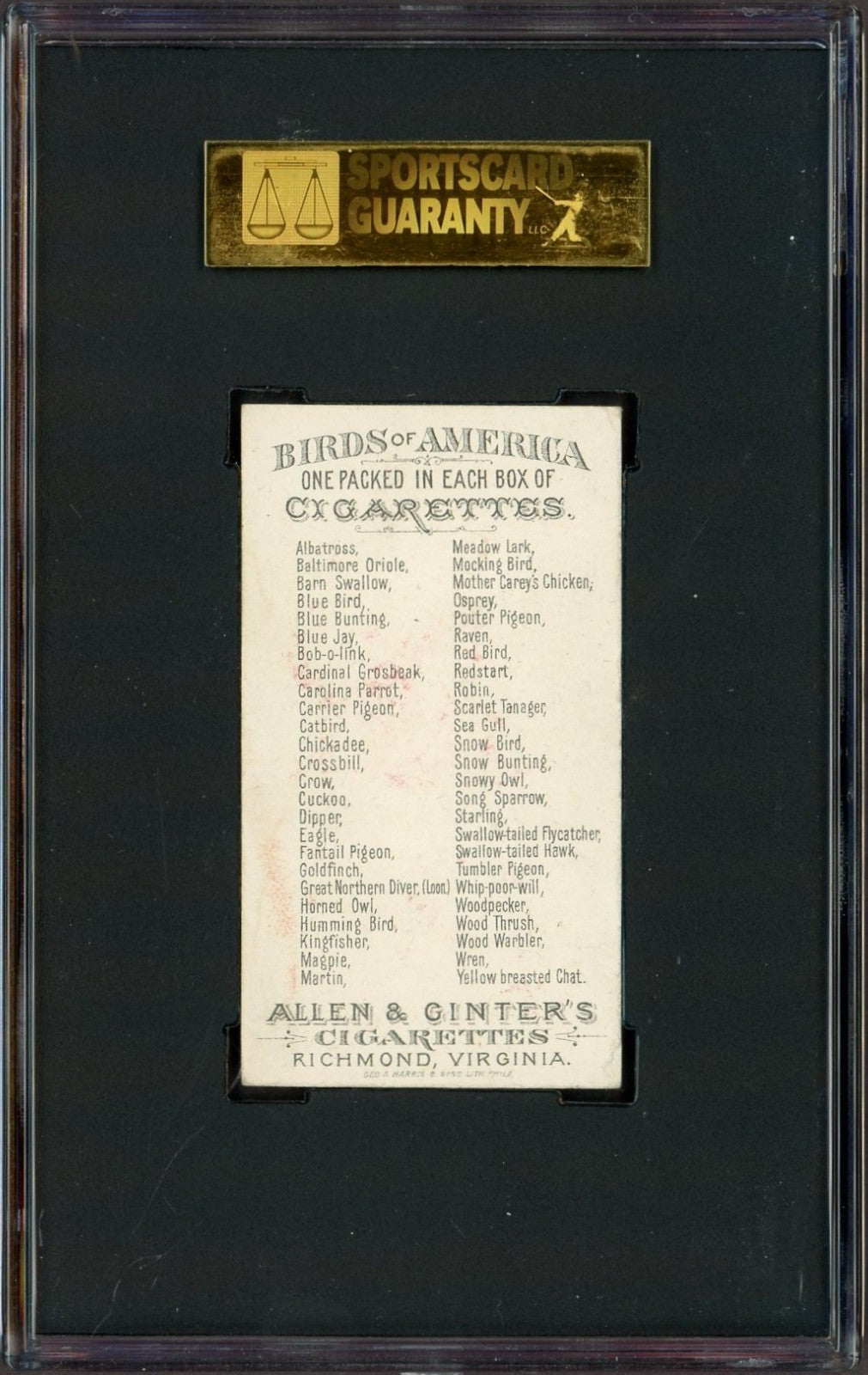 1888 Allen & Ginter N4 Birds of America (SGC 5 EX) Great Northern Diver (Loon)1