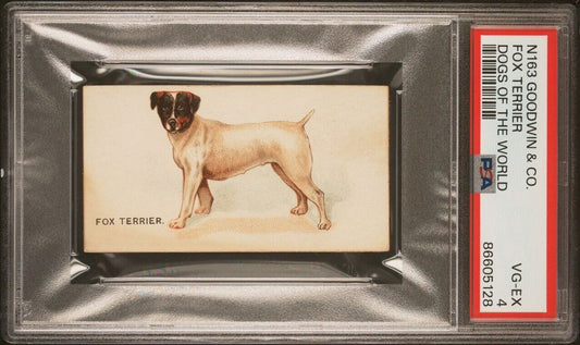 1890 N163 Goodwin & Co OLD JUDGE Dogs of the World (PSA 4 VG/EX) Fox Terrier