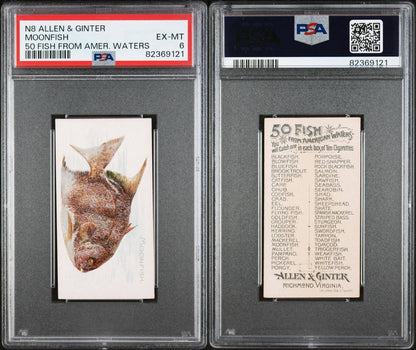 1889 N8 Allen & Ginter 50 FISH from American Waters (PSA 6 EX/MT) Moonfish2