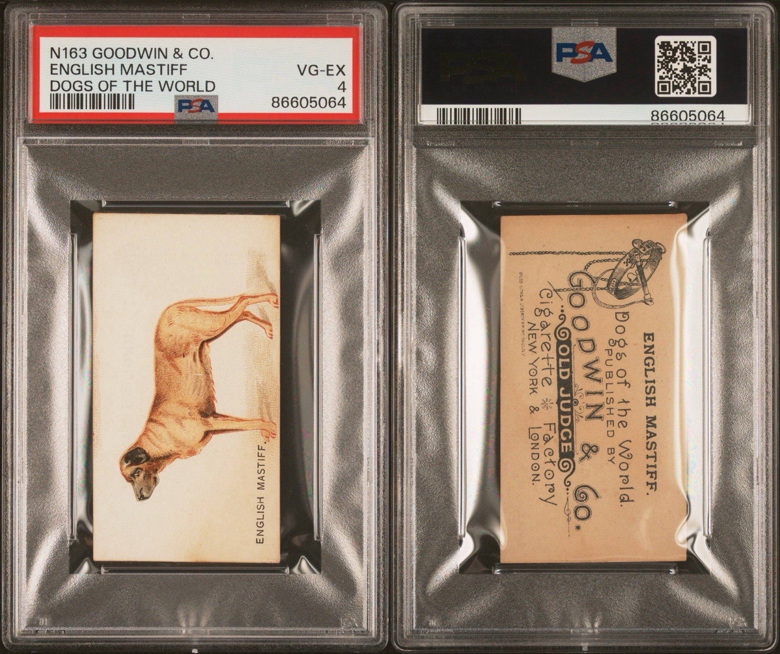 1890 N163 Goodwin & Co OLD JUDGE Dogs of the World (PSA 4 VG/EX) English Mastiff2