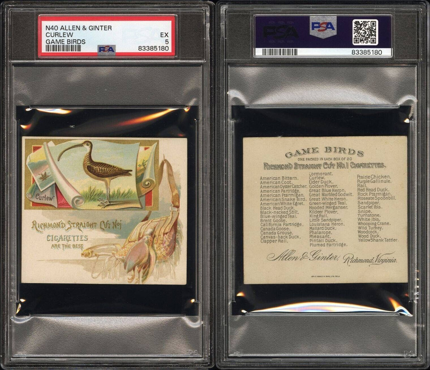 1890 N40 ALLEN & GINTER GAME BIRDS (PSA 5 EX) Curlew