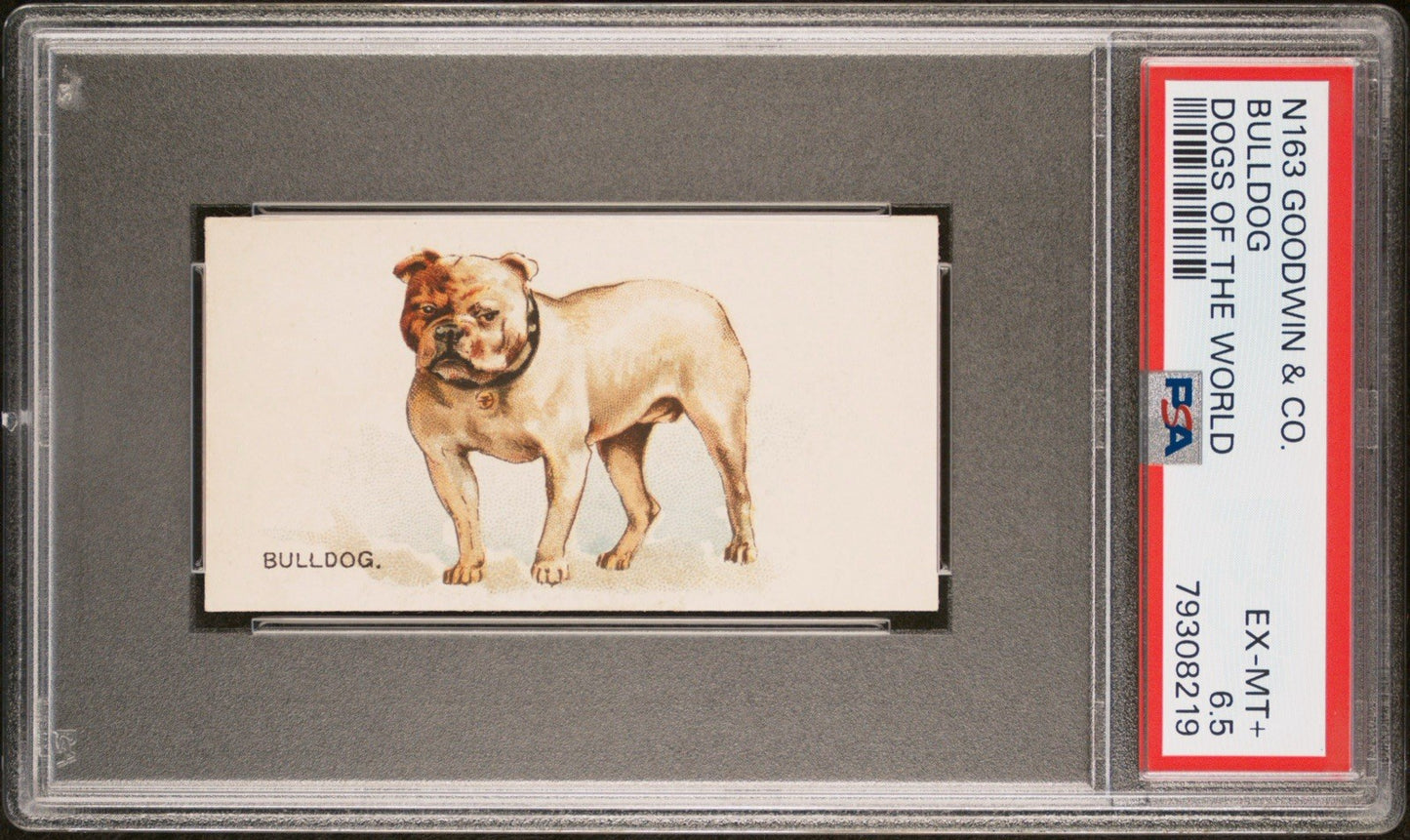 1890 N163 Goodwin & Co. Dogs of the World (PSA 6.5 EX/MT+) BULLDOG0