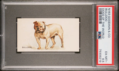 1890 N163 Goodwin & Co. Dogs of the World (PSA 6.5 EX/MT+) BULLDOG0