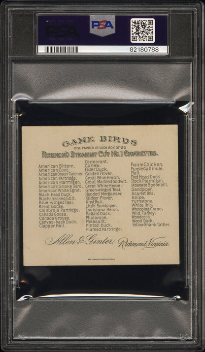 1890 N40 ALLEN & GINTER GAME BIRDS (PSA 5 EX) Scarlet Ibis