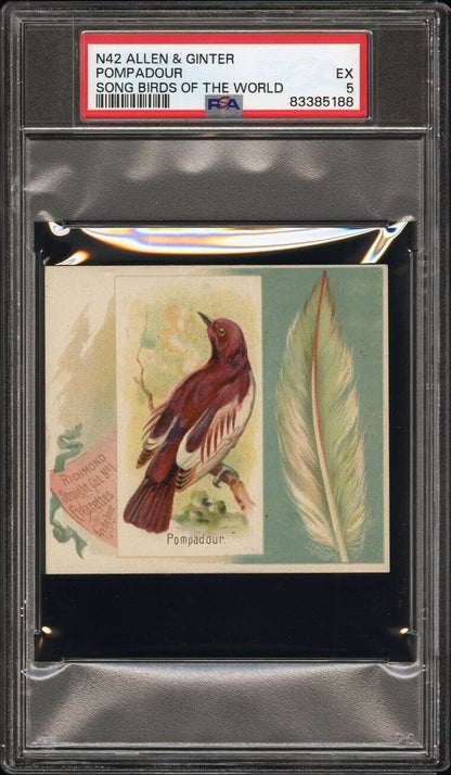 1889 N42 Allen & Ginter Song Birds Richmond Straight Cut (PSA 5 EX) Pompadour