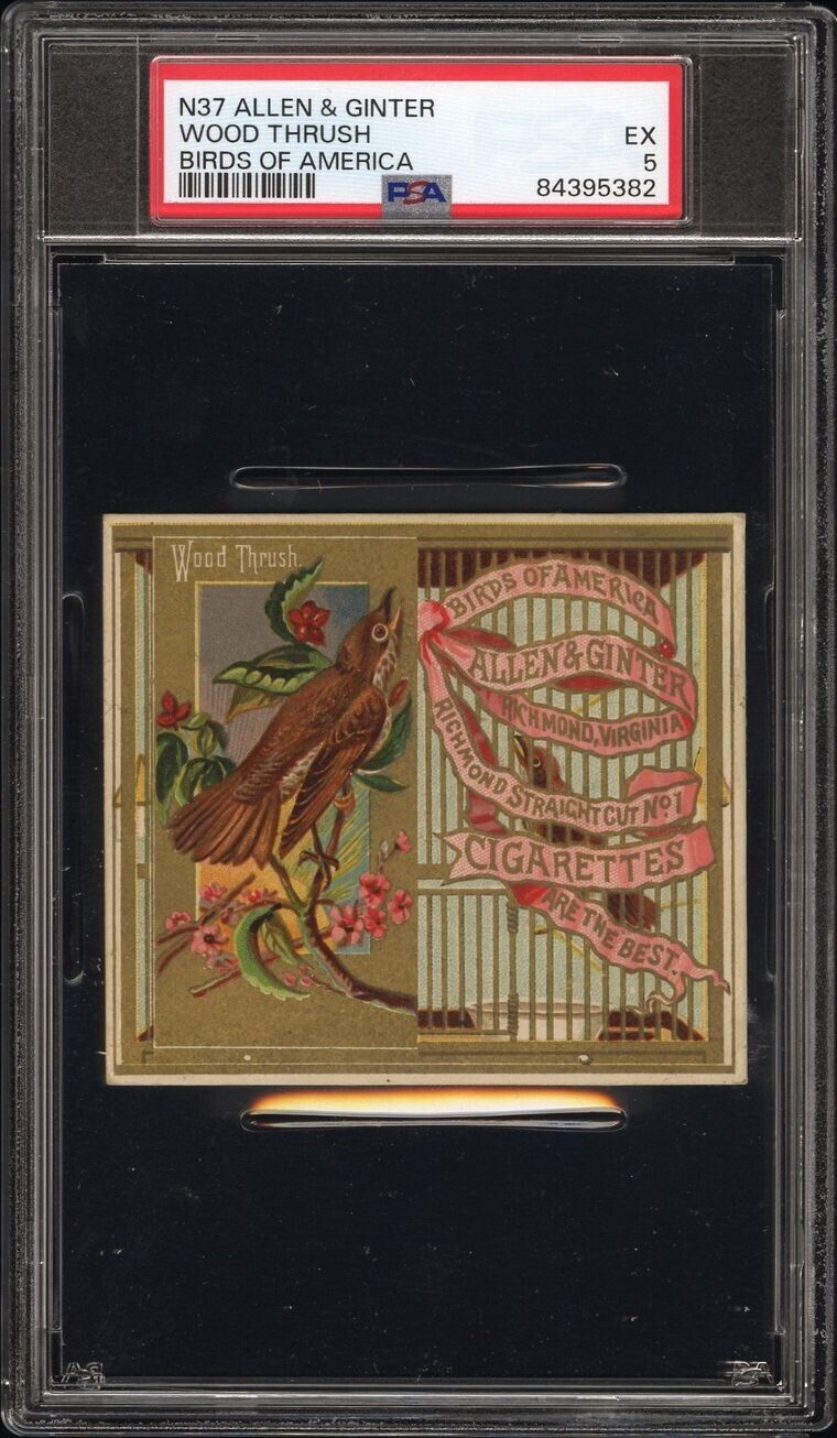 1890 N37 Allen & Ginter Birds of America (PSA 5 EX) Wood Thrush