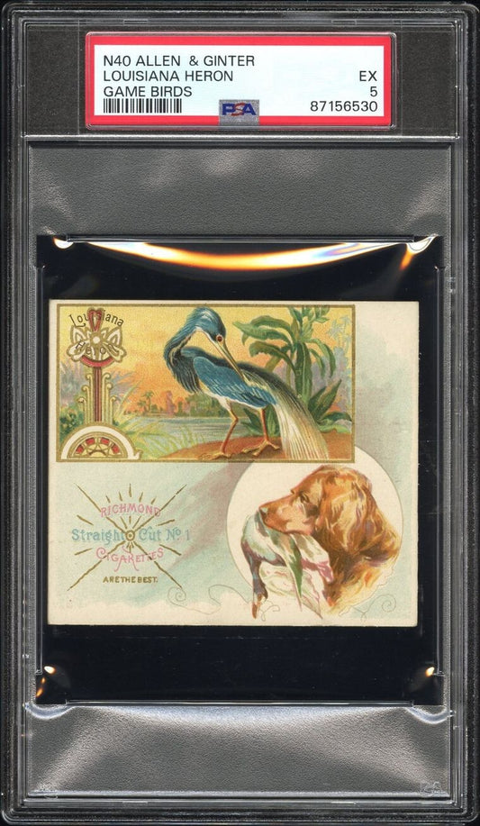 1890 N40 ALLEN & GINTER GAME BIRDS (PSA 5 EX) Louisiana Heron0