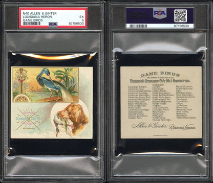 1890 N40 ALLEN & GINTER GAME BIRDS (PSA 5 EX) Louisiana Heron2