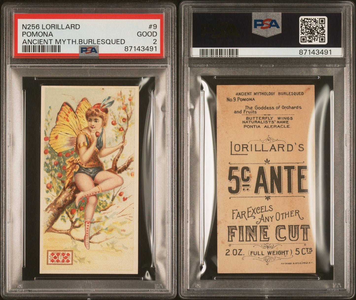 1893 N256 LORILLARD'S ANCIENT MYTHOLOGY BURLESQUED (PSA 2 GD) Pomona #92