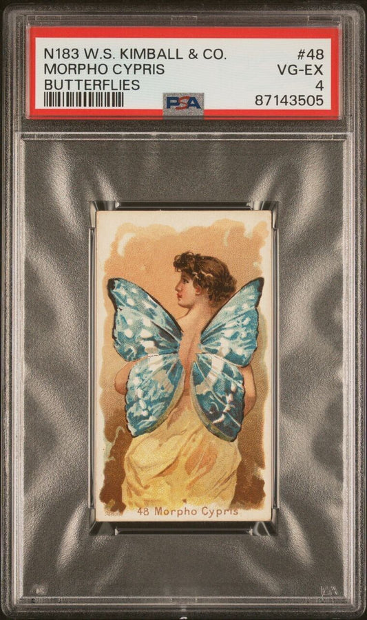 1888 N183 W.S. Kimball Butterflies MORPHO CYPRIS #48 (PSA 4 VG/EX) None Higher