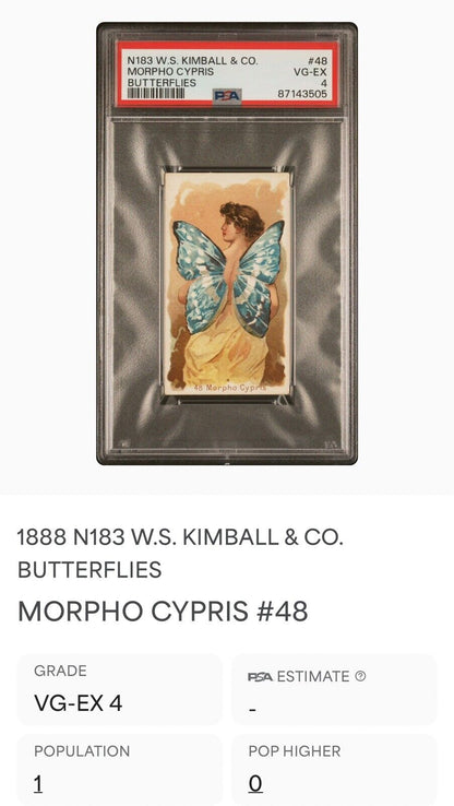 1888 N183 W.S. Kimball Butterflies MORPHO CYPRIS #48 (PSA 4 VG/EX) None Higher