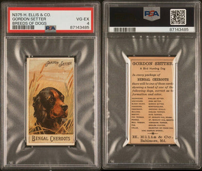 1890 N375 Ellis Co. Breeds of Dogs GORDON SETTER (PSA 4 VG/EX) Bengal Cheroots