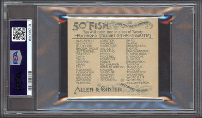 1889 N39 Allen & Ginter Fish From American Waters (PSA 4 VG-EX) Brook Trout