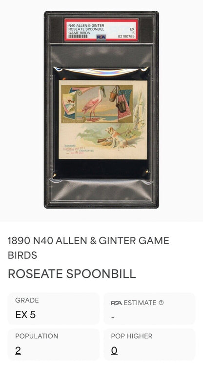 1890 N40 ALLEN & GINTER GAME BIRDS (PSA 5 EX) Roseate Spoonbill