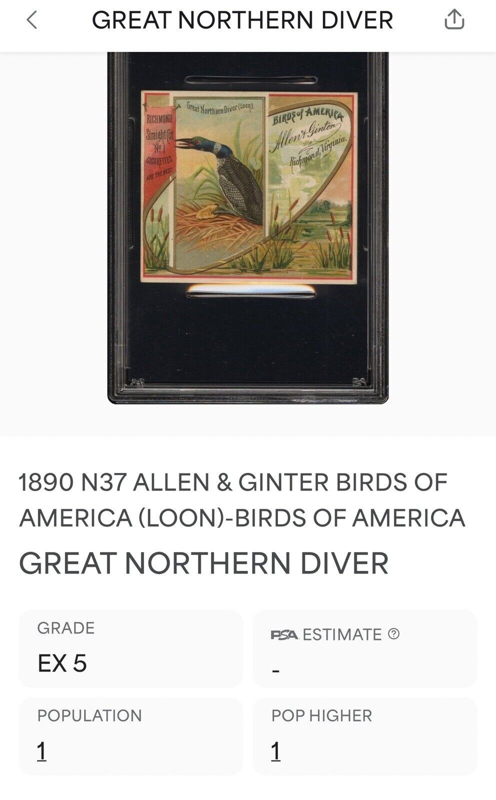 1890 N37 Allen & Ginter Birds of America (PSA 5 EX) Great Northern Diver