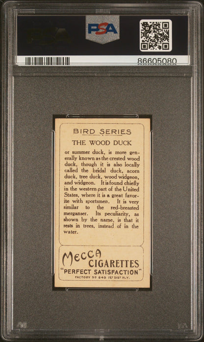 1910 T43 Bird Series WOOD DUCK (PSA 5 EX) Mecca Brand Back Factory #6491