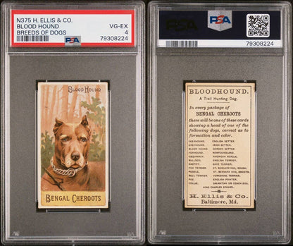 1890 N375 Ellis Breeds of Dogs BLOODHOUND Bengal Cheroots (PSA 4 VG/EX)