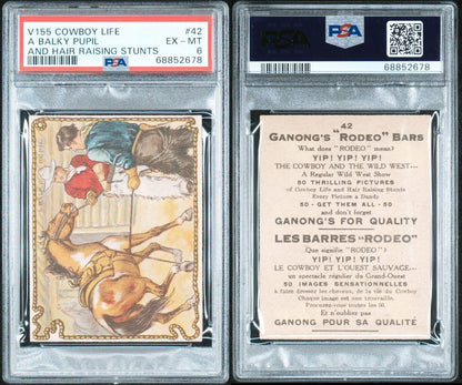 1930 V155 Cowboy Life Ganong Rodeo Chocolate Bar #42 (PSA 6 EX/MT)2