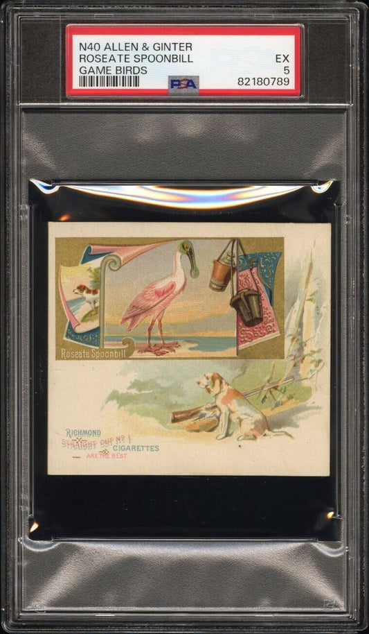1890 N40 ALLEN & GINTER GAME BIRDS (PSA 5 EX) Roseate Spoonbill