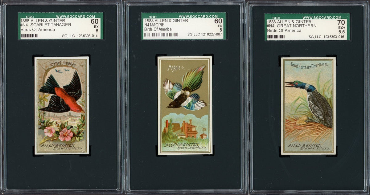 1888 Allen & Ginter N4 Birds of America (SGC 5 EX) Scarlet Tanager0