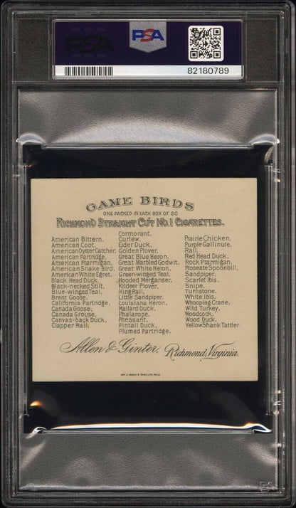 1890 N40 ALLEN & GINTER GAME BIRDS (PSA 5 EX) Roseate Spoonbill