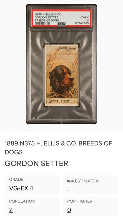 1890 N375 Ellis Co. Breeds of Dogs GORDON SETTER (PSA 4 VG/EX) Bengal Cheroots