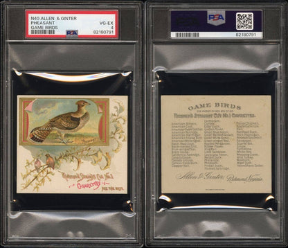 1890 N40 ALLEN & GINTER GAME BIRDS Pheasant (PSA 4 VG/EX)