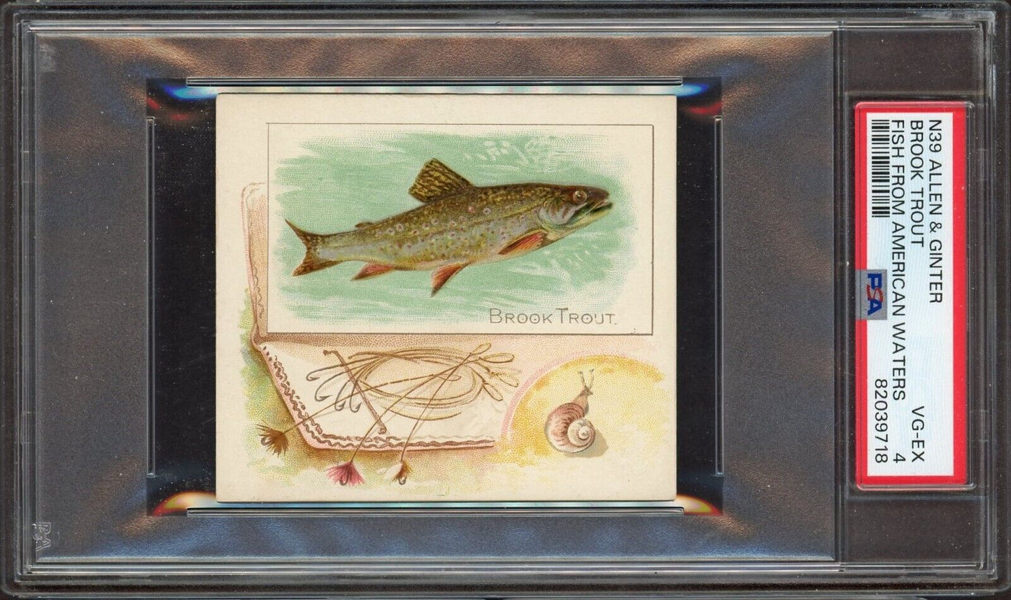 1889 N39 Allen & Ginter Fish From American Waters (PSA 4 VG-EX) Brook Trout