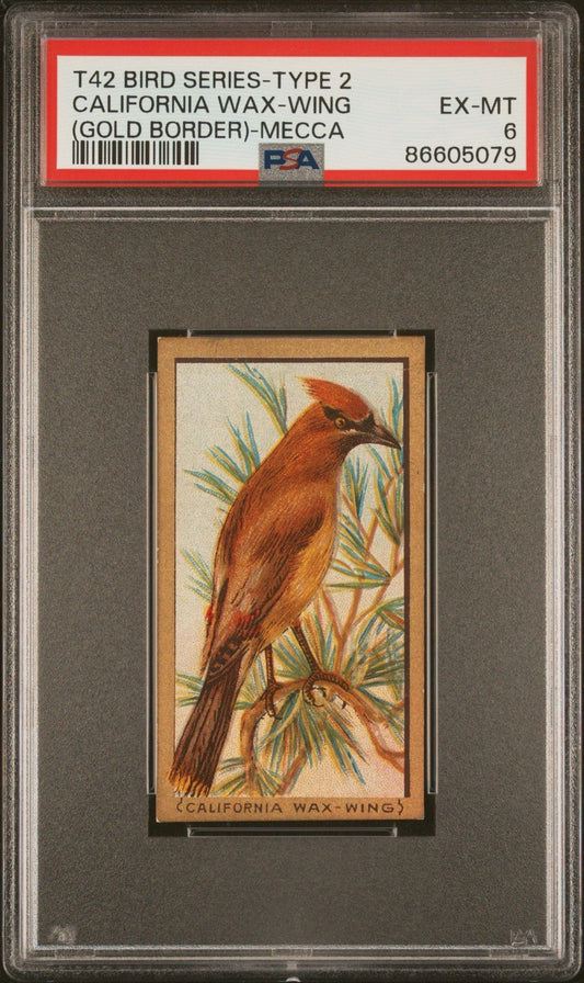 1910 T42 Bird Series (Gold Border) California Wax Wing (PSA 6 EX/MT) Mecca0