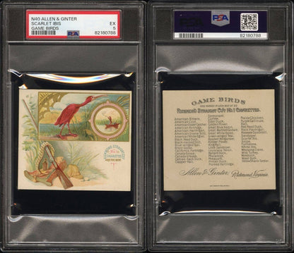1890 N40 ALLEN & GINTER GAME BIRDS (PSA 5 EX) Scarlet Ibis
