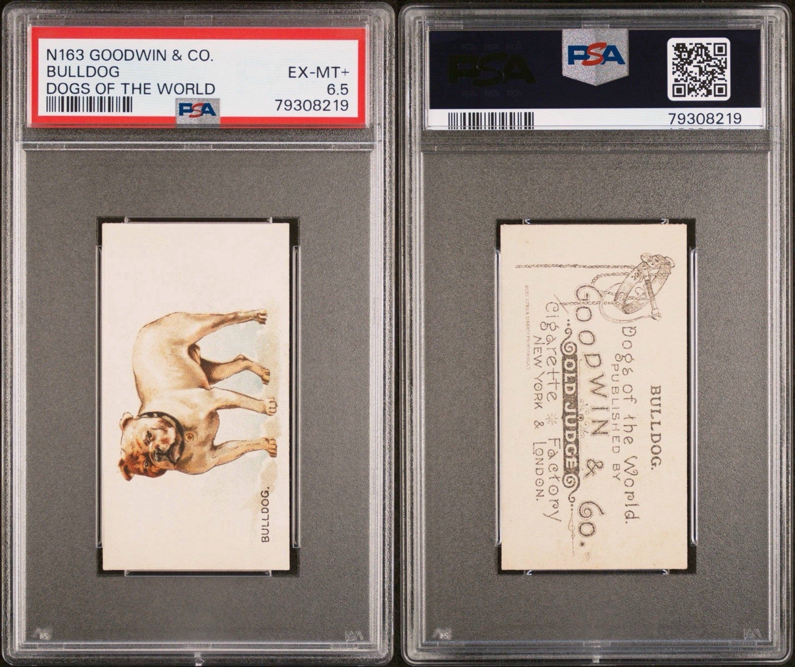 1890 N163 Goodwin & Co. Dogs of the World (PSA 6.5 EX/MT+) BULLDOG2