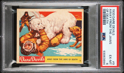 1933 N. Chicle DARE DEVILS #9 Away From Jaws of Death (PSA 6 EX/MT) Polar Bear0