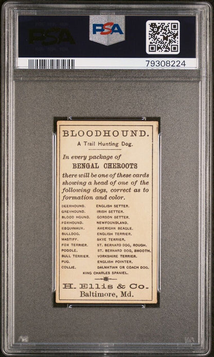 1890 N375 Ellis Breeds of Dogs BLOODHOUND Bengal Cheroots (PSA 4 VG/EX)