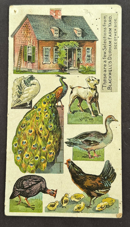 Blackwell's Durham Tobacco Folding Trade Card w/ Animals