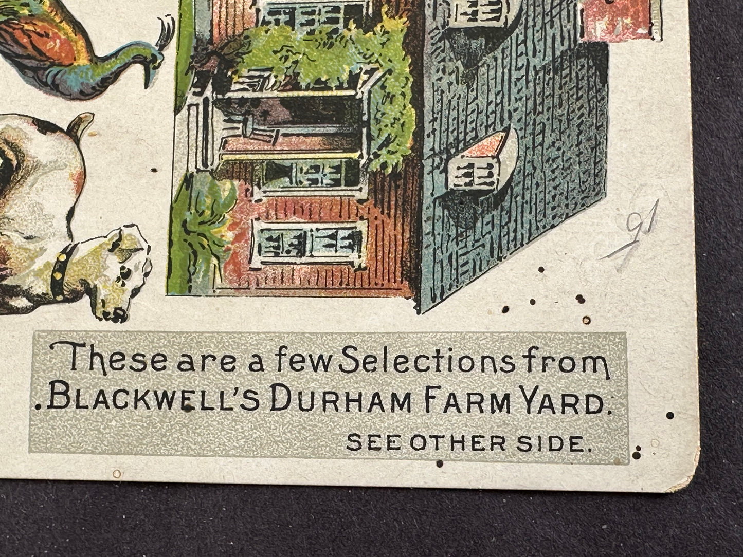 Blackwell's Durham Tobacco Folding Trade Card w/ Animals