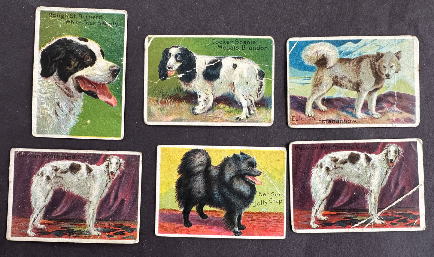 1910 T96 “Prize Dog Series” Cards (6)