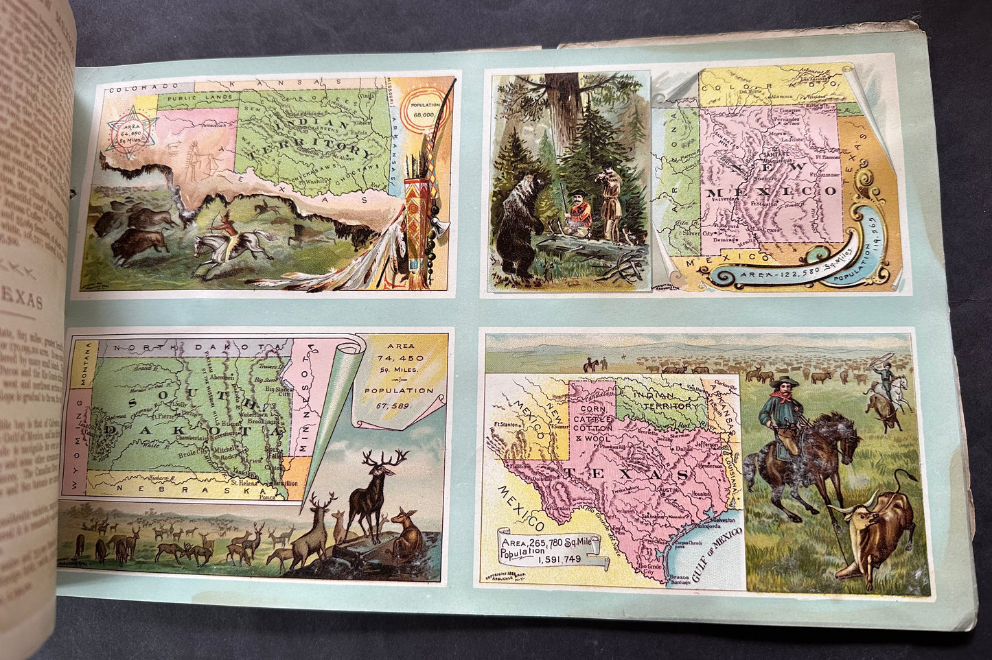 1889 Arbuckle Bros. Coffee Co. Illustrated Atlas of the United States of America (K6) Album