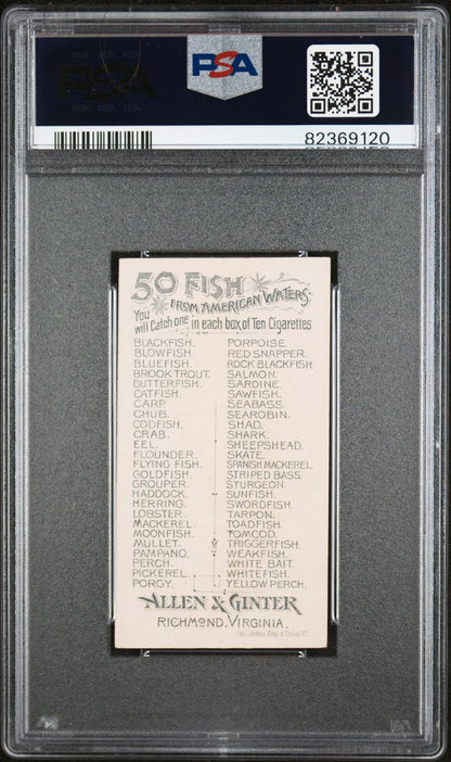 1889 N8 Allen & Ginter Fish From American Waters SUNFISH PSA 6 EX/MT