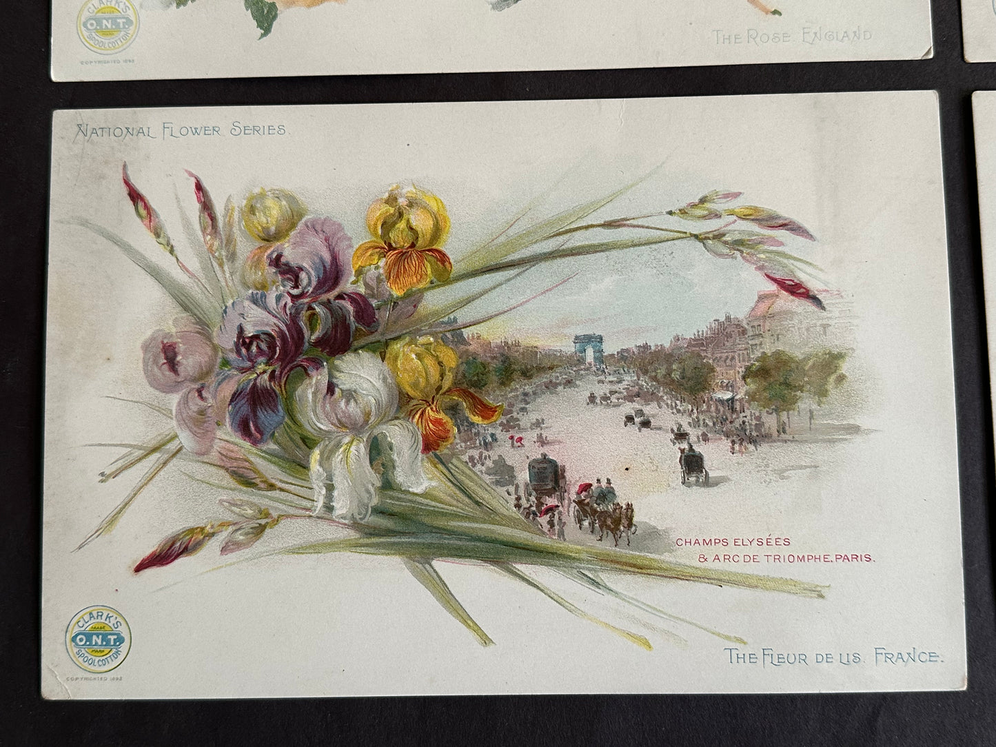 SET (5) FIVE large 5" x 7 1/2" Clark's Thread (H701) National Flower Series 1893
