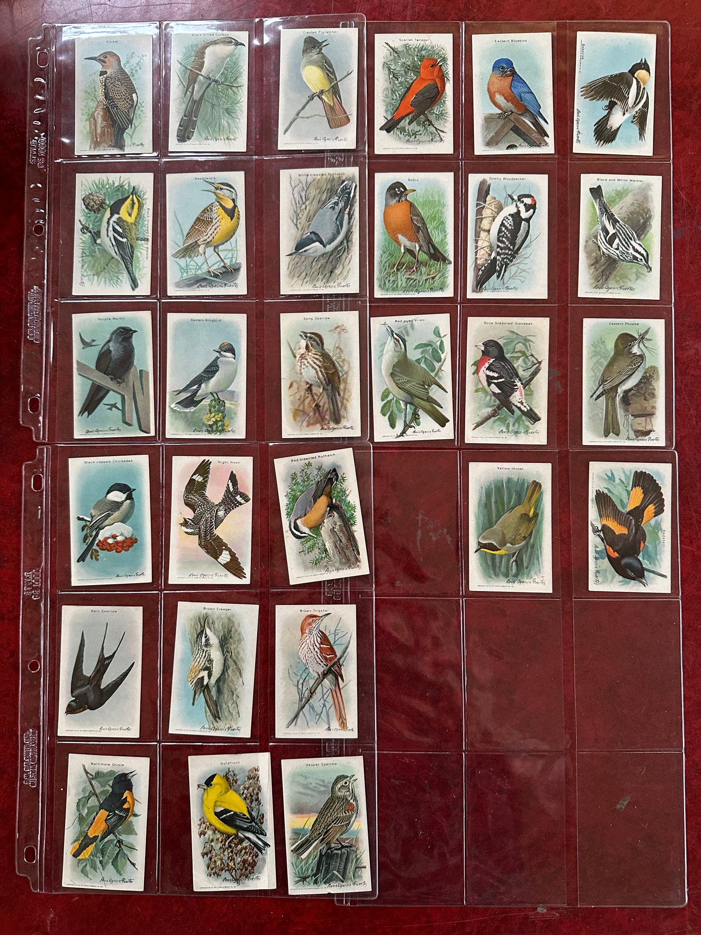 Lot of 29 Arm & Hammer Bird Cards Ninth Series In Pages