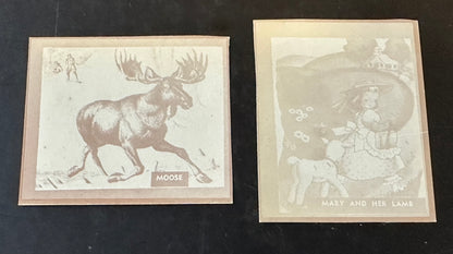 1930 Ray-O-Prints (Lot of 3) NYC, Moose, Mary M. P. & Co. New York