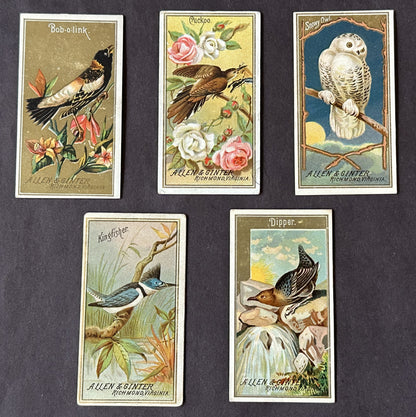 1888 N4 A&G Birds (5) back damage