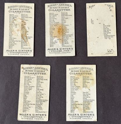 1888 N4 A&G Birds (5) back damage