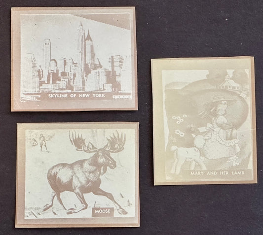 1930 Ray-O-Prints (Lot of 3) NYC, Moose, Mary M. P. & Co. New York
