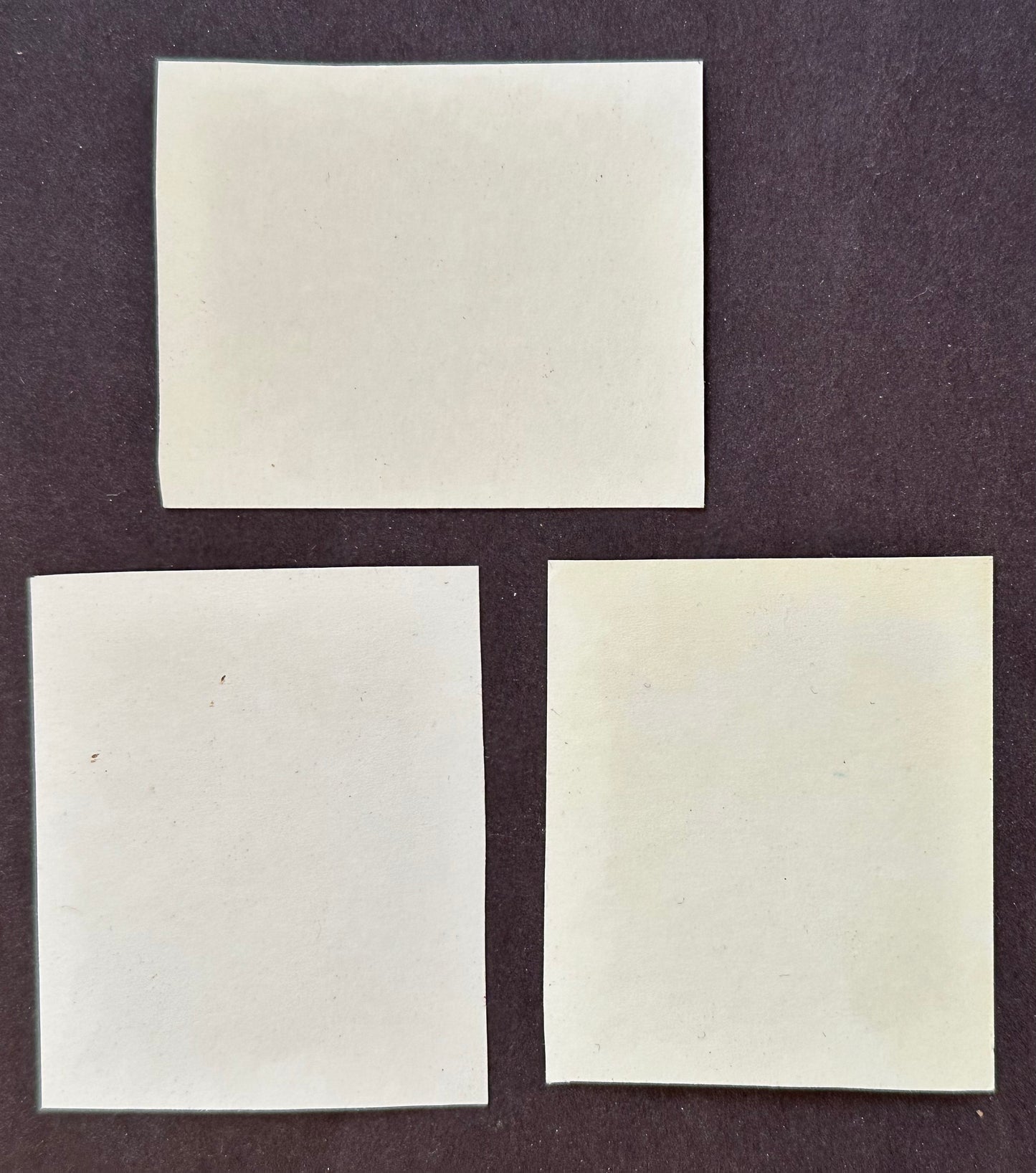 1930 Ray-O-Prints (Lot of 3) NYC, Moose, Mary M. P. & Co. New York