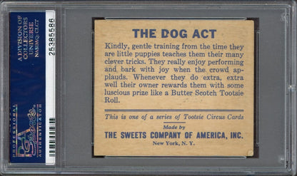 1933 R152 Tootsie Circus "The Dog Act" (PSA 6 EX/MT) Very Rare