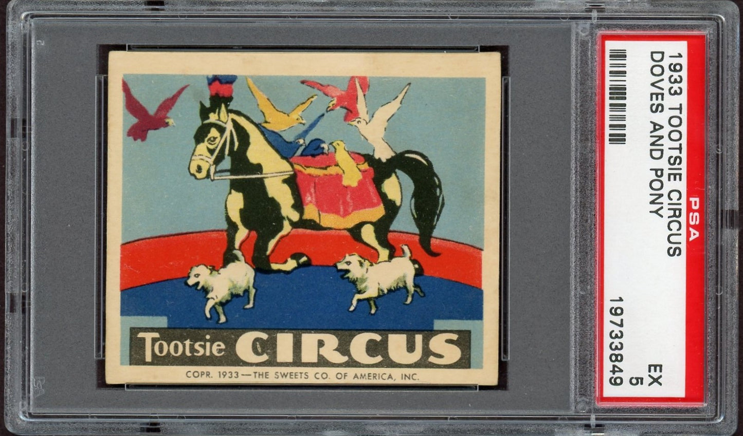 1933 R152 Tootsie Circus "Doves and Pony" (PSA 5 EX)