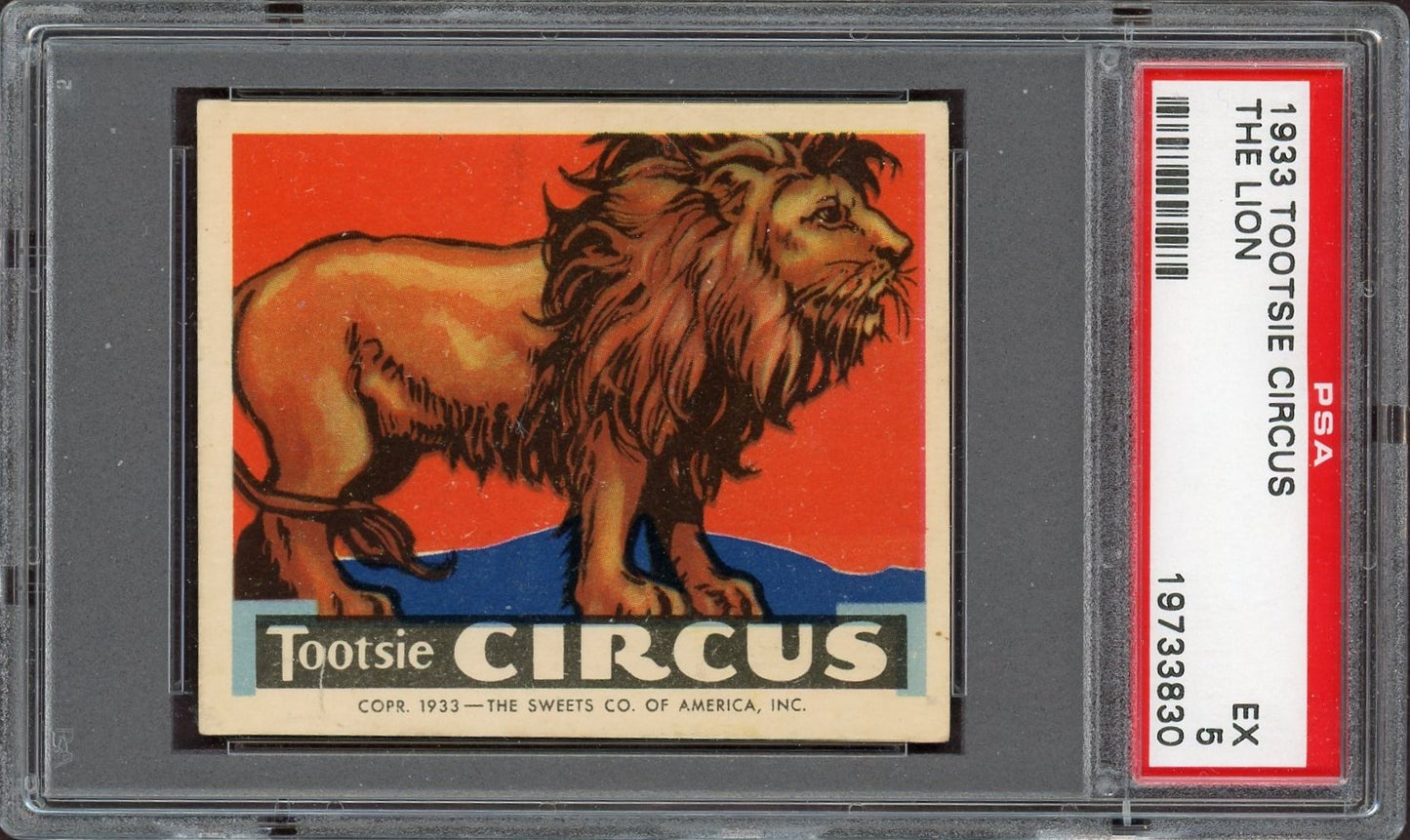 1933 R152 Tootsie Circus "The Lion" (PSA 5 EX) Very Rare