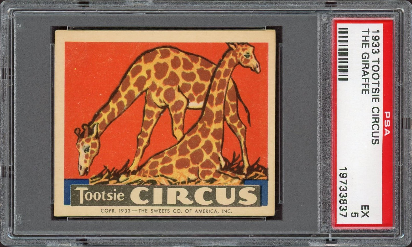 1933 R152 Tootsie Circus "The Giraffe" (PSA 5 EX) Very Rare