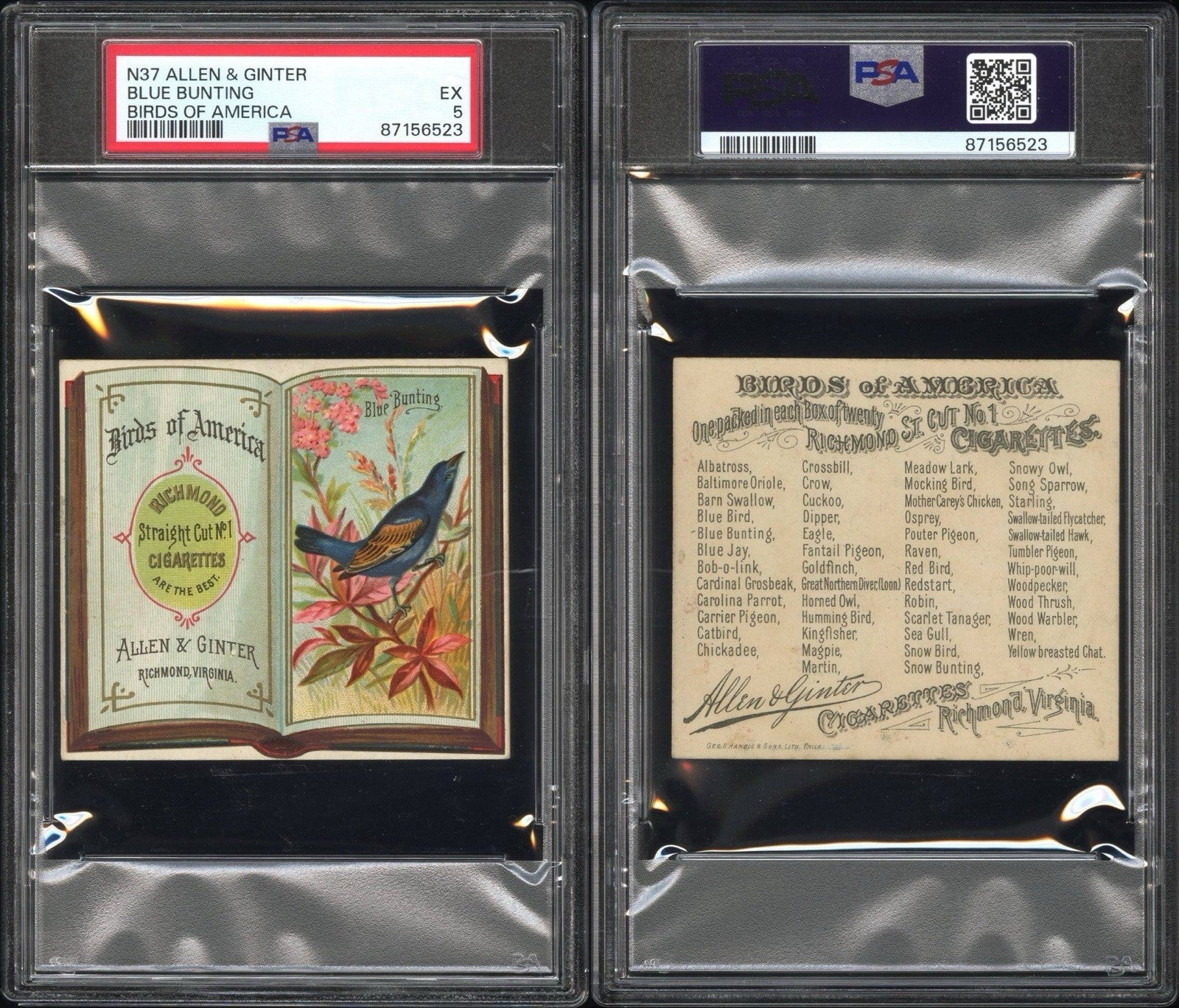 1890 N37 ALLEN & GINTER Birds of America (PSA 5 EX) Blue Bunting2